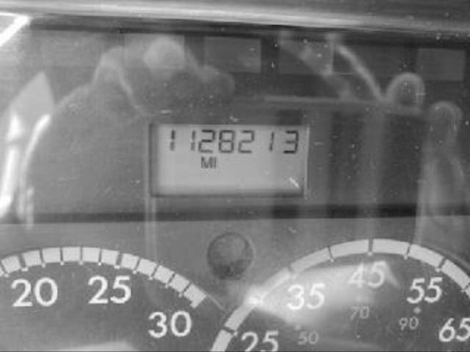 167346688419954.jpg